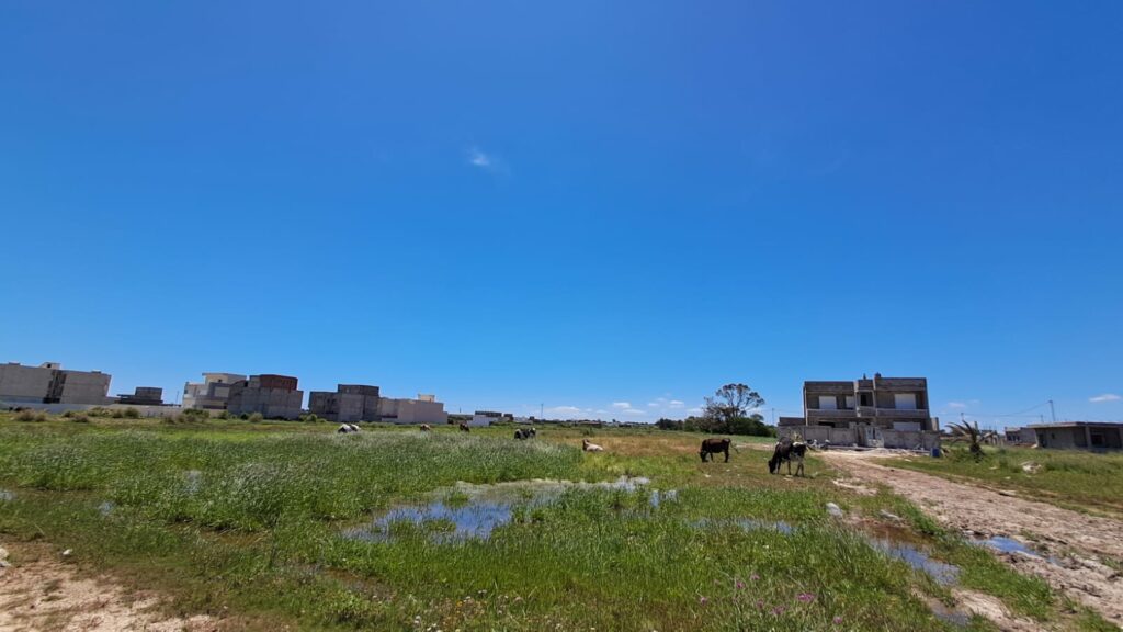 Terrain Titré 1000m² en 1ère Position Plage Dar Allouch – Kélibia