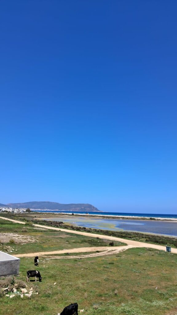 Terrain Titré 1000m² en 1ère Position Plage Dar Allouch – Kélibia