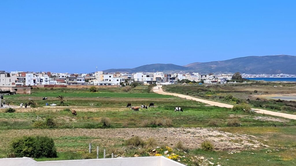 Terrain Titré 1000m² en 1ère Position Plage Dar Allouch – Kélibia